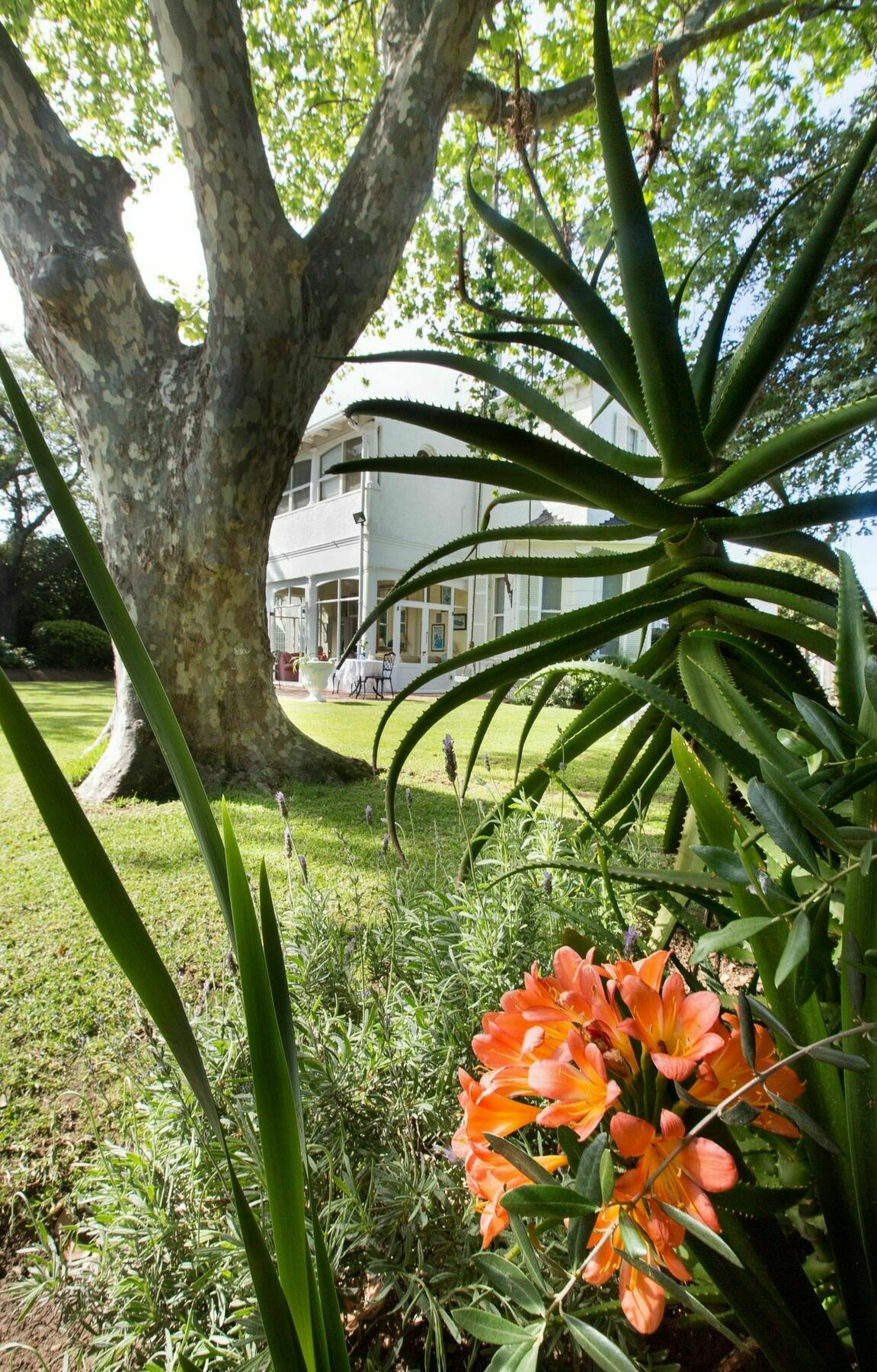 Brooklands House Ξενοδοχείο Κέιπ Τάουν Εξωτερικό φωτογραφία